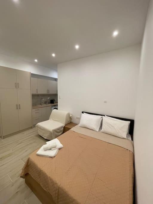 Pangrati-Luxury Central Cozy Studio 雅典 外观 照片